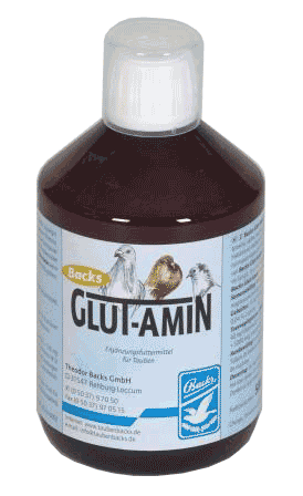 Backs Glutamin