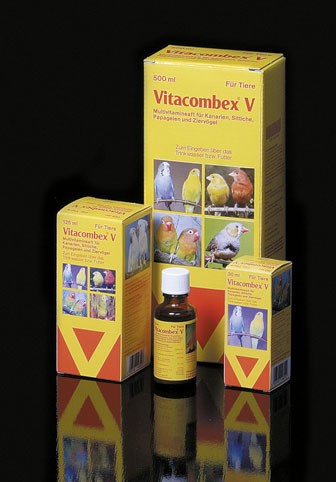 Vitacombex V Multivitaminsaft