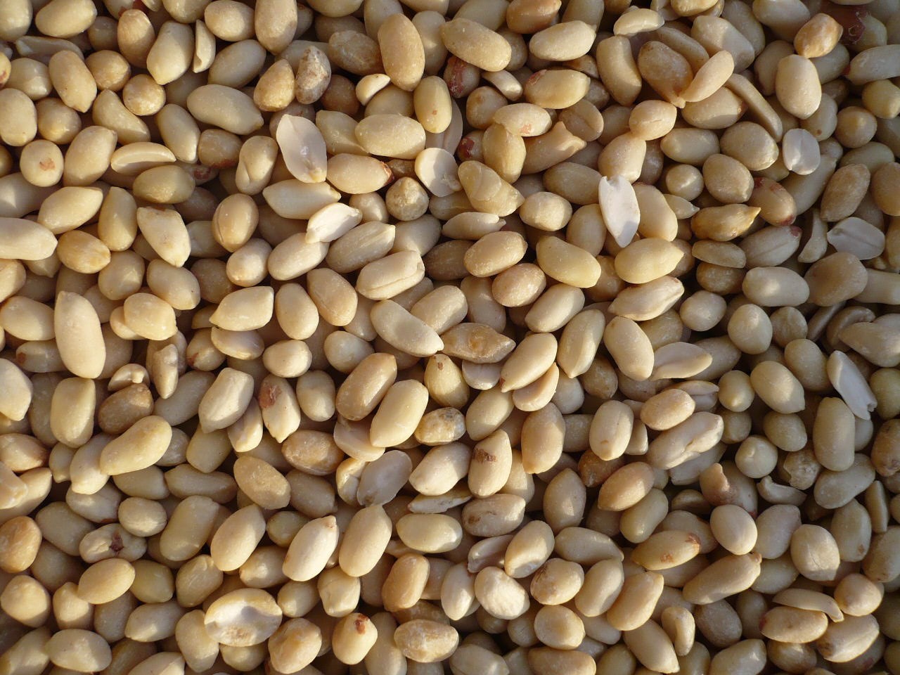 Erdnüsse, weiß blanchiert 25 Kilo Sack