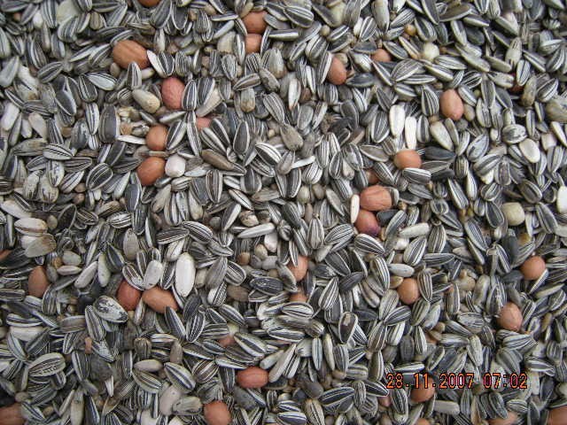 Hega Meisenfutter Premium 