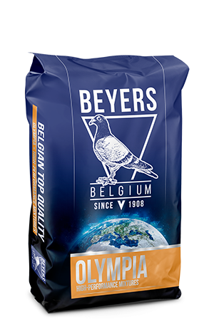 Beyers Nr.47 Olympia Zucht & Reise