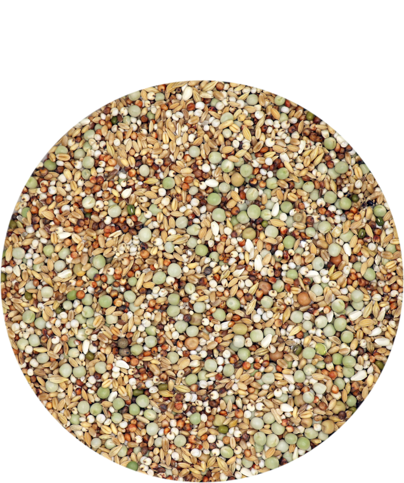 Versele Laga Show Standard ohne Mais 